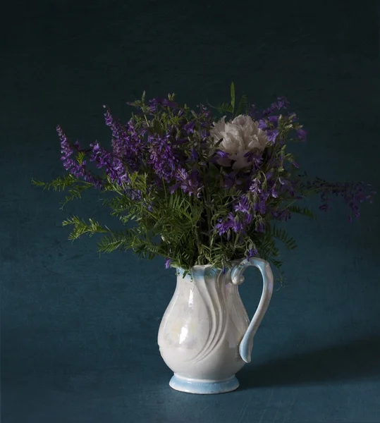 Flores silvestres azuis — Fotografia de Stock