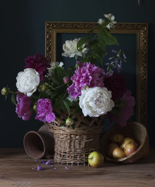 Peonies — Stock Photo, Image