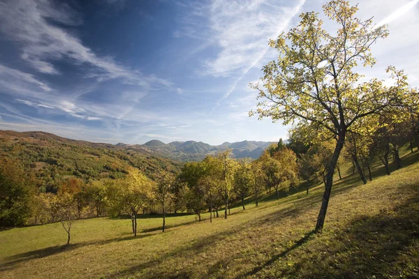 Scènes de montagne colorées — Photo