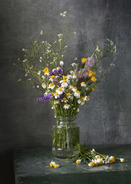 Still life with daisies — Stock Photo, Image