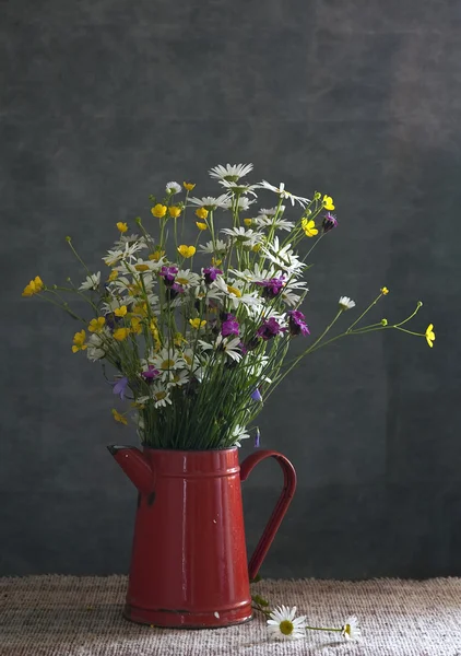 Stillleben mit Gänseblümchen — Stockfoto