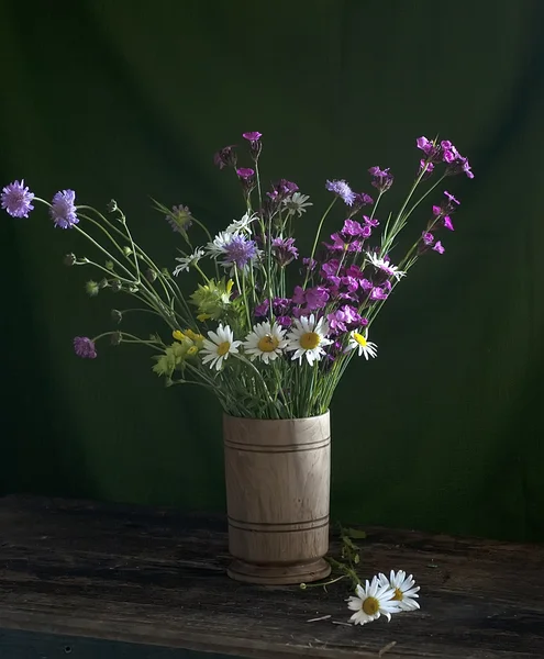 Stillleben mit Gänseblümchen — Stockfoto