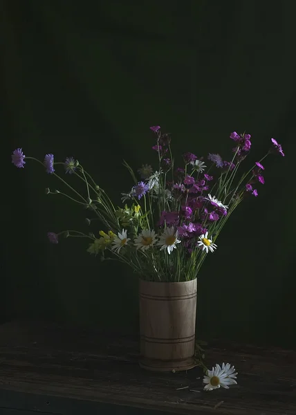 Stillleben mit Gänseblümchen — Stockfoto