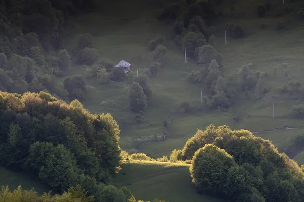 Barevné letní krajina — Stock fotografie