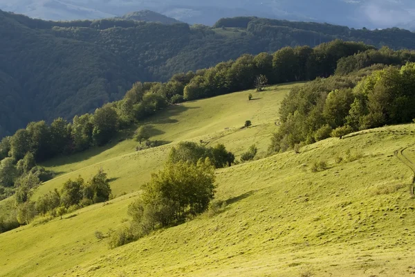 Kleurrijke zomer landschap — Stockfoto