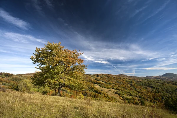 Scene di montagna colorate — Foto Stock