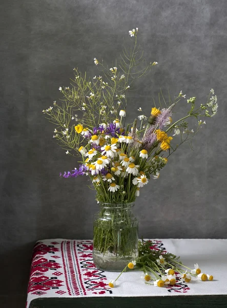 Stilleven met madeliefjes — Stockfoto