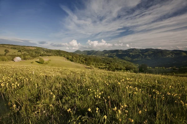 Berg van de Karpaten — Stockfoto