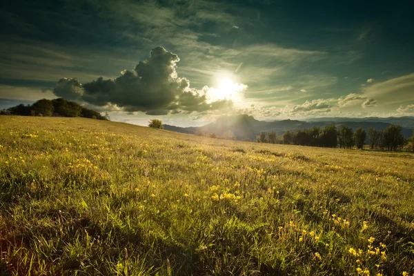 Carpathian mountain — Stock Photo, Image