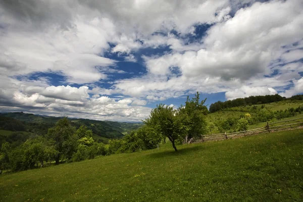 Carpathian berg — Stockfoto