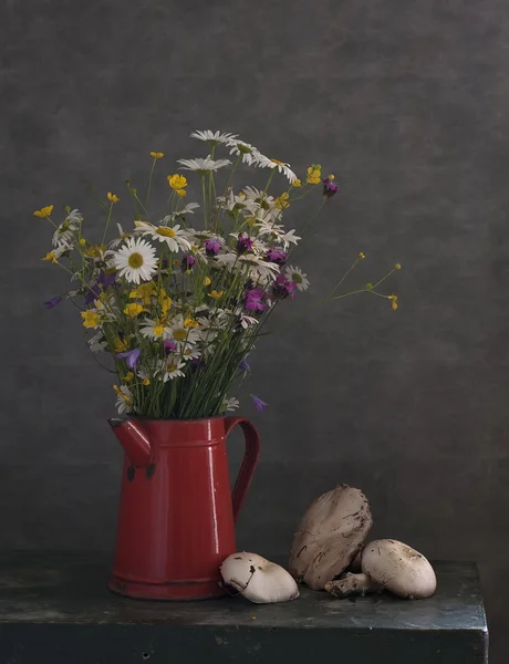 Stillleben mit Gänseblümchen — Stockfoto