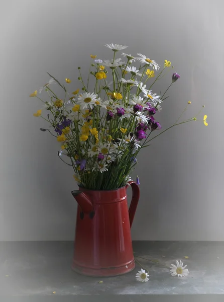 Stillleben mit Gänseblümchen — Stockfoto