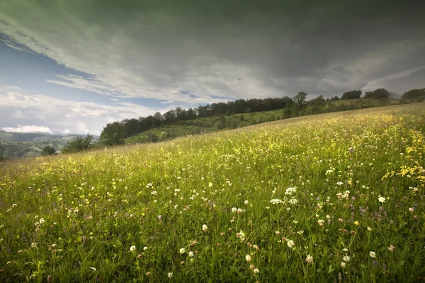 Berglandschaft — Stockfoto