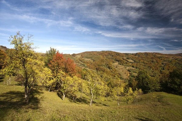 Scene di montagna colorate — Foto Stock