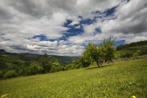 Карпатські гори — стокове фото