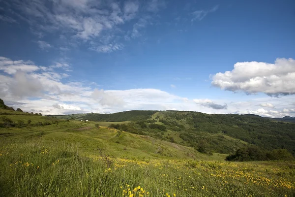 Carpathian berg — Stockfoto