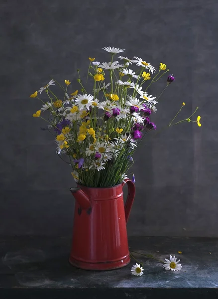 Still life with daisies — Stock Photo, Image