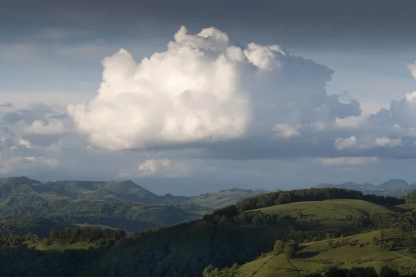 Kleurrijke zomer landschap — Stockfoto