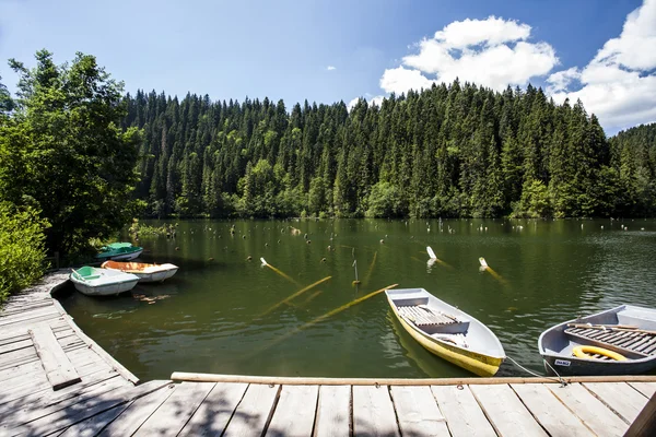 Mountain lake — Stock Photo, Image