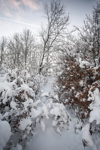 Montaña de invierno —  Fotos de Stock