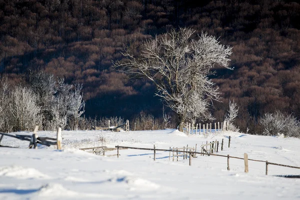 Winter mountain — Stockfoto