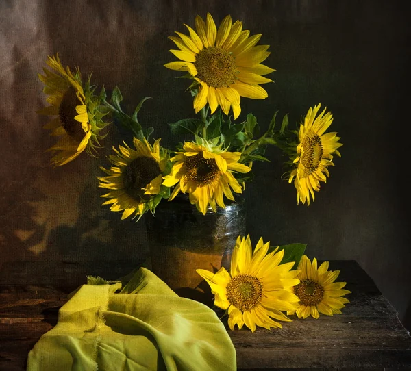 Sonnenblumen — Stockfoto