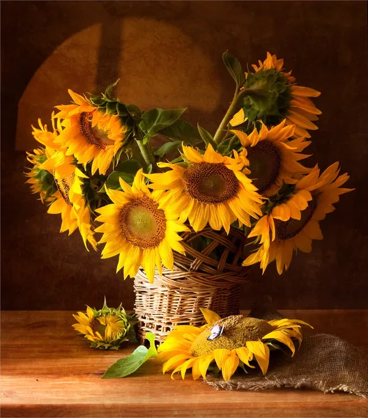 Sunflowers — Stock Photo, Image