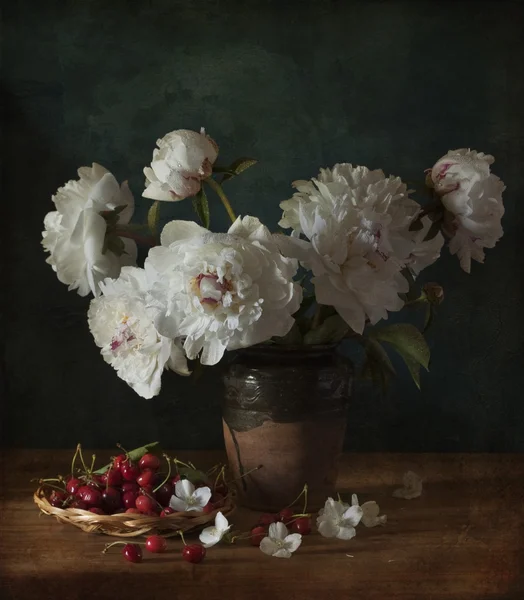 Peonies — Stock Photo, Image