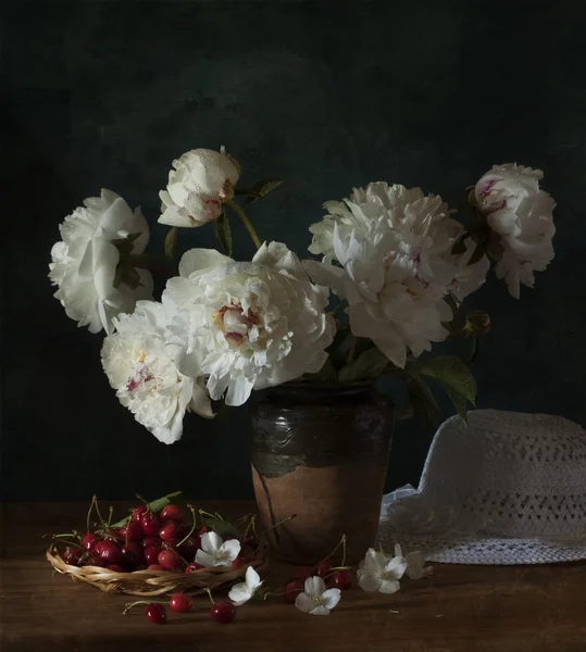 Peonies — Stock Photo, Image