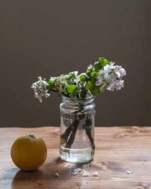 elma çiçeği Şubesi