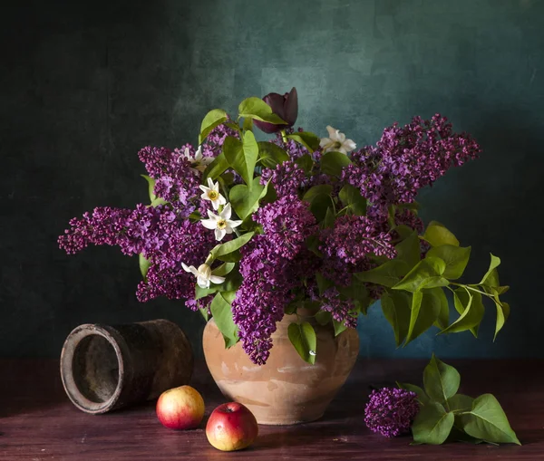 Liliáceas — Foto de Stock