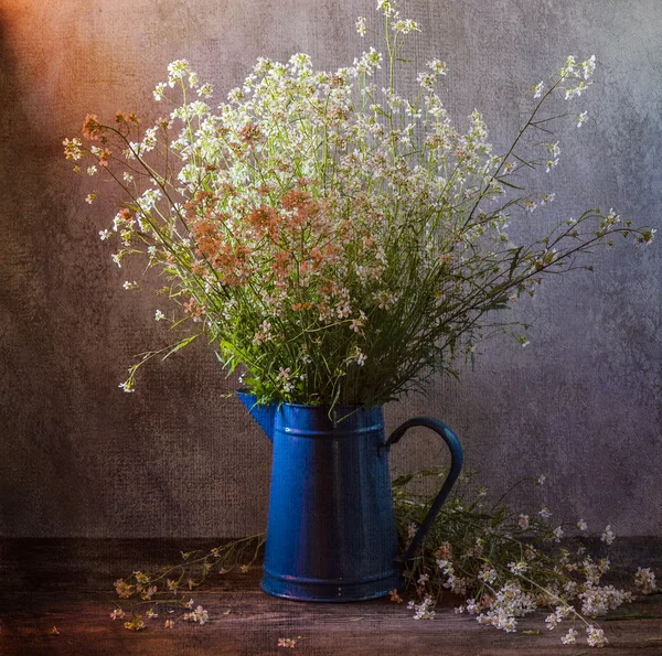 Wildflowers — Stock Photo, Image