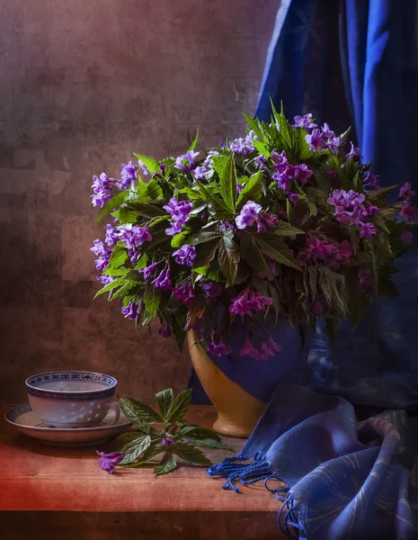 Wildflowers — Stock Photo, Image