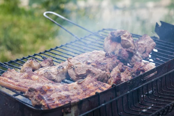 Gegrilde voldoen aan — Stockfoto