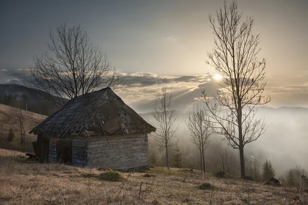 Fantastische ochtend — Stockfoto