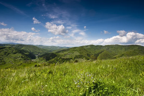 Vale verde da montanha — Fotografia de Stock