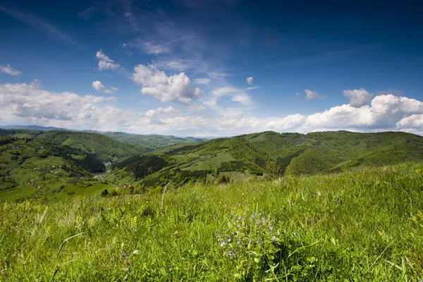 Grünes Gebirgstal — Stockfoto