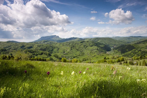 Green mountain valley — Zdjęcie stockowe