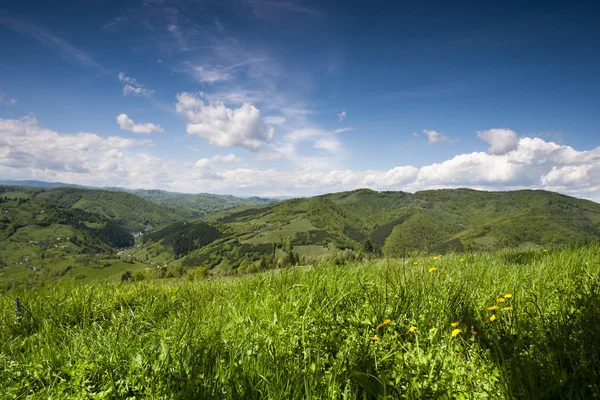 Valle de montaña verde —  Fotos de Stock