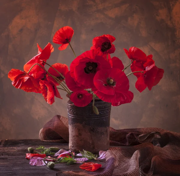 Poppy — Stock Photo, Image