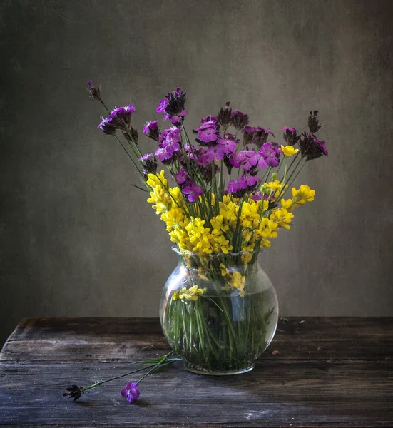 Wildblumen — Stockfoto