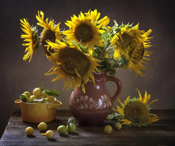 Girasoles — Foto de Stock