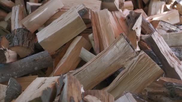 Małe Brązowe Rąbane Drewno Opałowe Szarą Korą Leży — Wideo stockowe