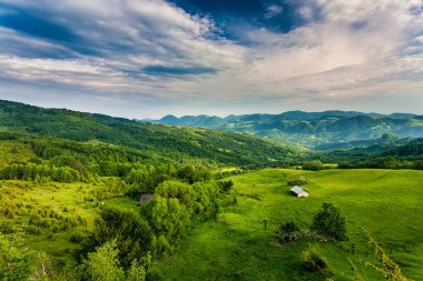 Sonbahar dağ manzarası. Sarı ve kırmızıya boyanmış sonbahar ağaçları. Yeşil iğneler ve mavi gökyüzü. Rumen Karpatlar 'daki renkli sonbahar manzarası. Panoramik görünüm.