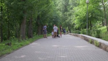 3 Temmuz 2021. Kishinev, Moldova Cumhuriyeti. Yeşil güneşli parktaki insanlar