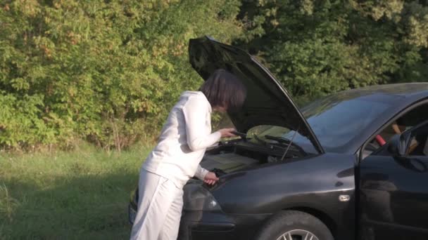 汽车抛锚后 妇女拨了一个电话号码 汽车问题 — 图库视频影像