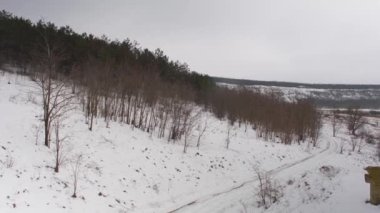 Karla kaplı bir ormanın ve kış patikasının hava aracı görüntüsü.