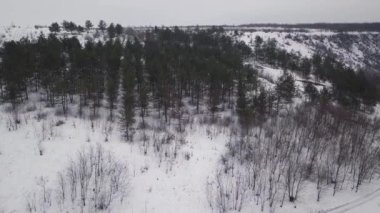 Karla kaplı bir ormanın ve kış patikasının hava aracı görüntüsü.
