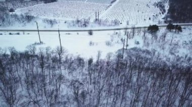 Karla kaplı bir ormanın ve kış patikasının hava aracı görüntüsü.