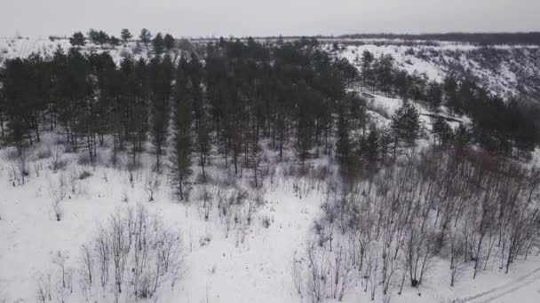 从空中俯瞰覆盖着积雪的森林和冬季小径 — 图库视频影像